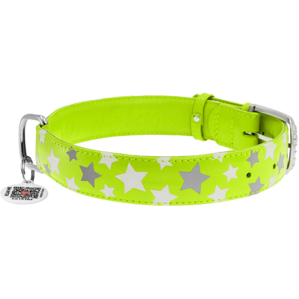 Нашийник для тварин WAUDOG Glamour з QR паспортом "Зірочка" M Ш 25 мм Д 38-49 см салатовий (35875) - зображення 2