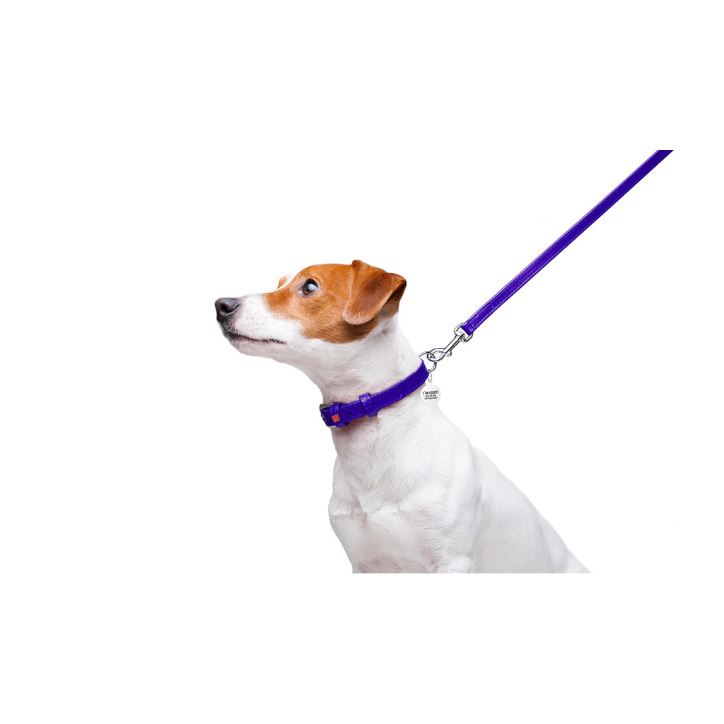 Повідець для собак WAUDOG Glamour шкіряний XS фіолетовий (33729) - зображення 5