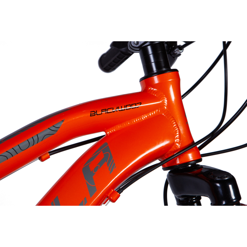 Велосипед Formula 24" Blackwood 1.0 AM DD рама-12,5" Al помаранчевий 2024 (OPS-FR-24-401) - зображення 2