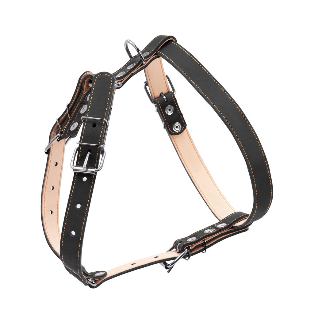 Шлея для собак Collar подвійна для середніх порід Ш 25 мм А:49-68 см В:68-80 см чорна (06421) - зображення 2