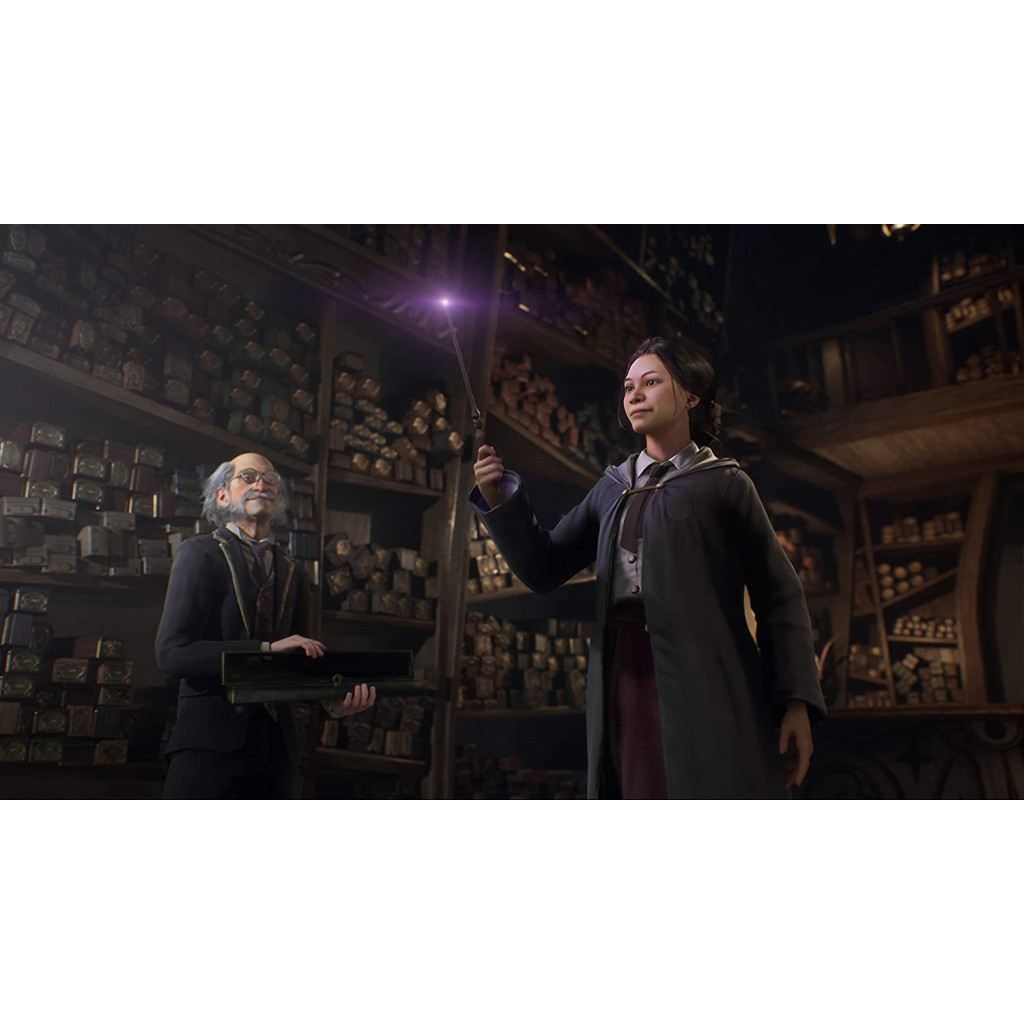 Гра Sony Hogwarts Legacy. Deluxe Edition, BD диск (5051895415412) - зображення 9