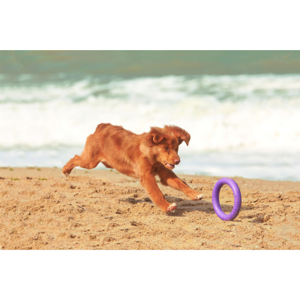 Іграшка для собак Puller Mini 18 см (6491) - зображення 5