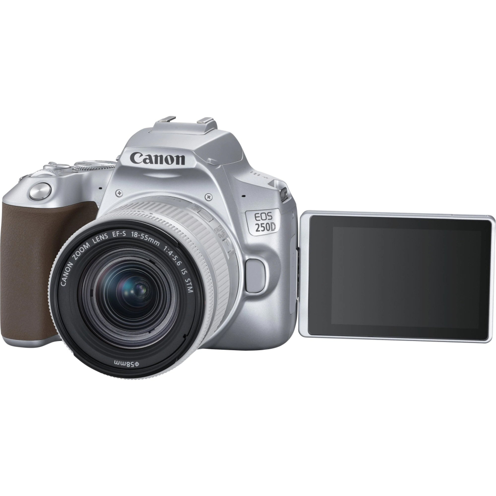 Цифровий фотоапарат Canon EOS 250D kit 18-55 IS STM Silver (3461C003) - зображення 8