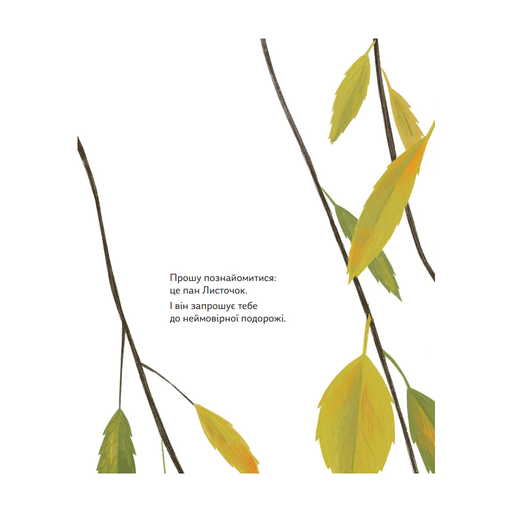 Книга Про що мріють листочки - Оксана Драчковська, Христина Лукащук Yakaboo Publishing (9786177544912) - зображення 3