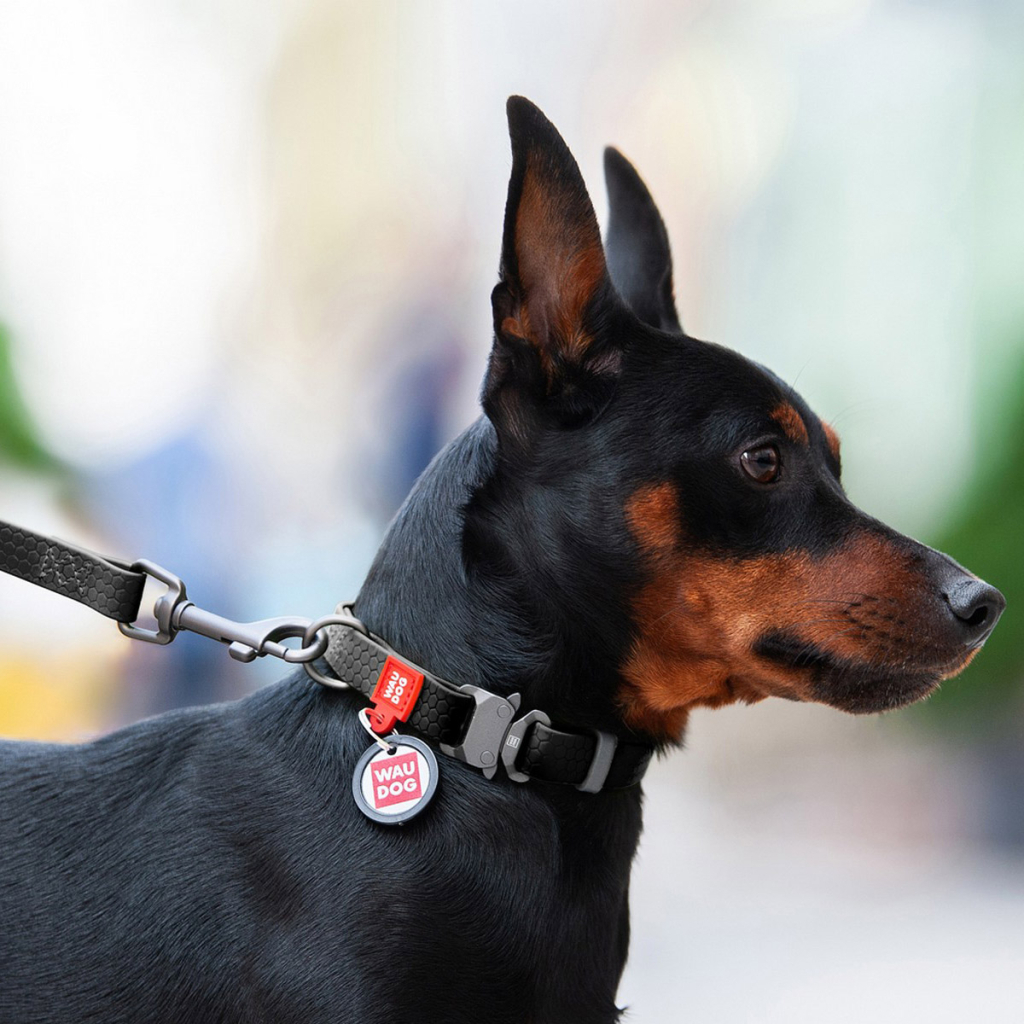 Нашийник для тварин WAUDOG Waterproof з QR паспортом L Ш 25 мм Д 31-49 см(чорний) (27861) - изображение 5