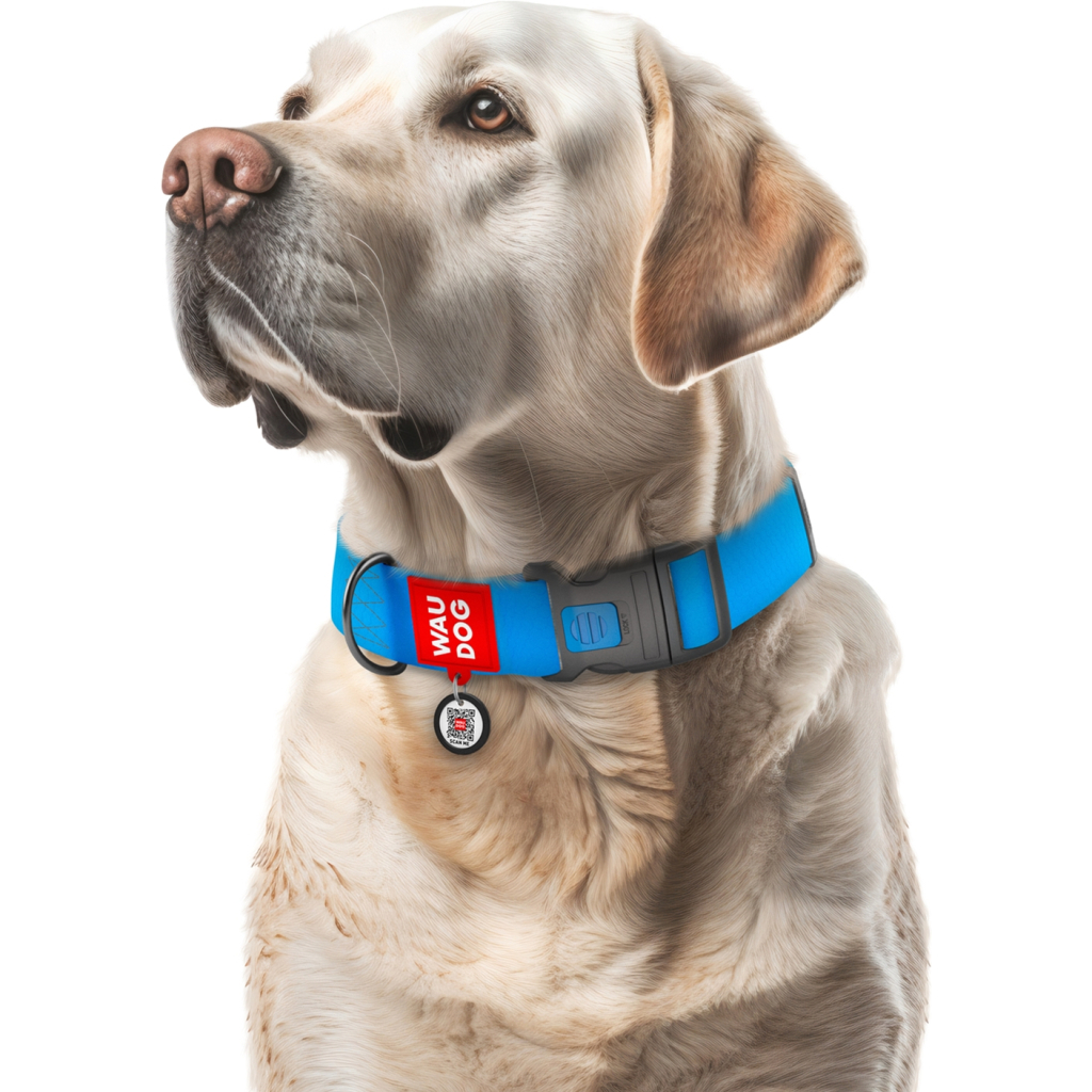 Нашийник для тварин WAUDOG Waterproof з QR паспортом пластиковий фастекс XXL блакитний (25112) - зображення 4
