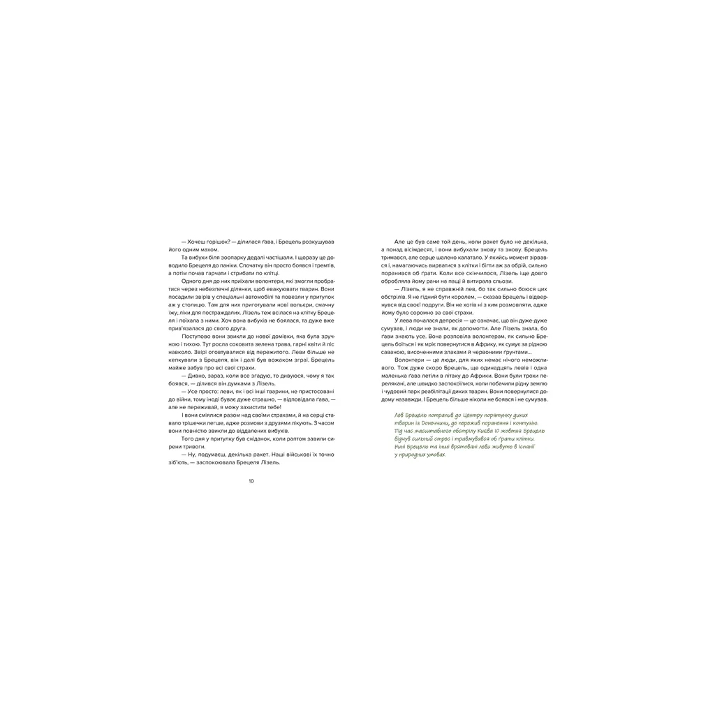 Книга Єнот Ракета та інші герої - Євгенія Завалій Видавництво Старого Лева (9789664481868) - зображення 4