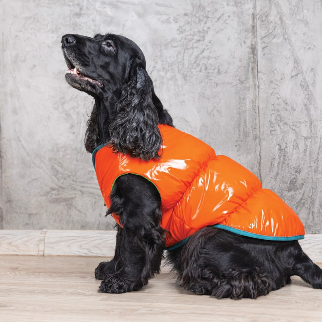 Жилет для тварин Pet Fashion "SPRING" XS жовтогарячий (4823082420445) - зображення 5