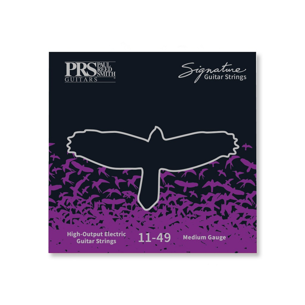 Струни для гітари PRS Signature Medium Guitar Strings 11-49 (100148005001004) - зображення 1