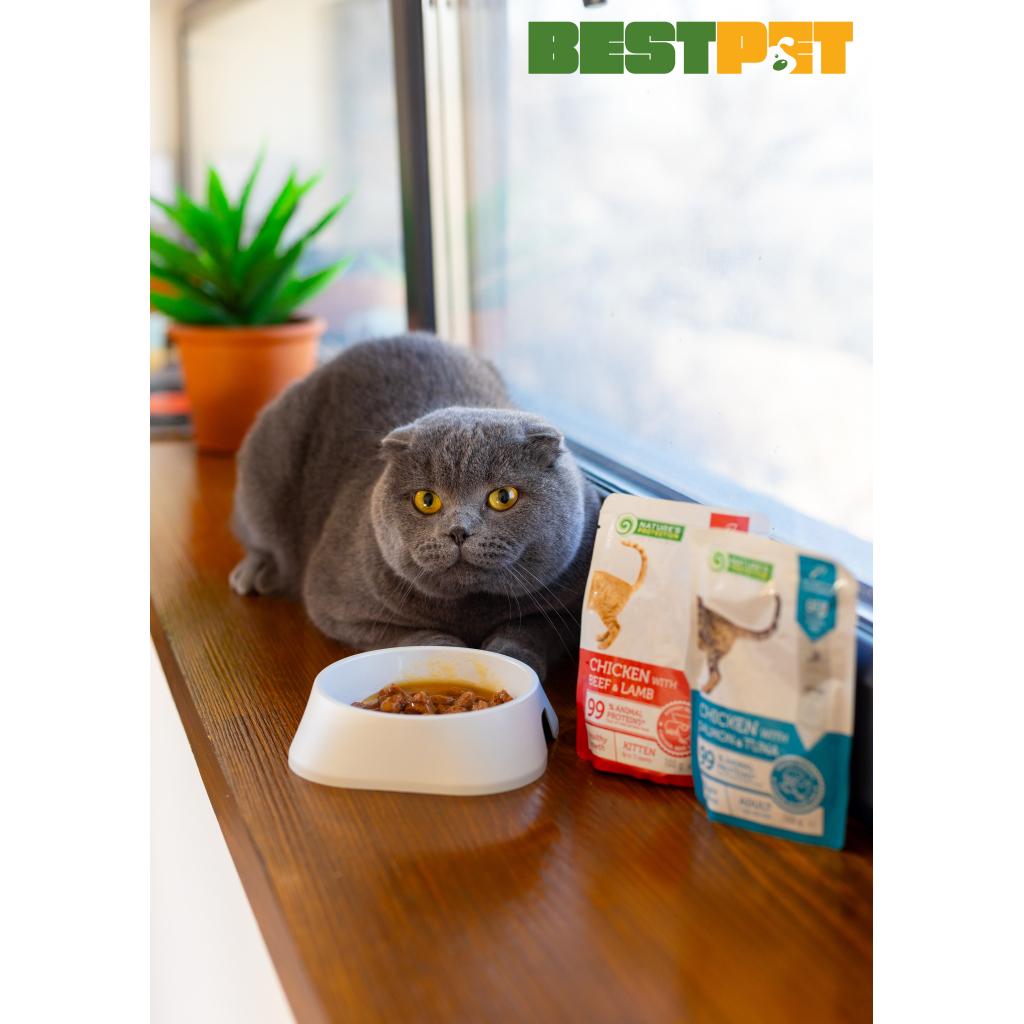 Вологий корм для кішок Nature's Protection Kitten Healthy Growth Chicken Beef & Lamb 100 г (NPUPF63658) - зображення 3
