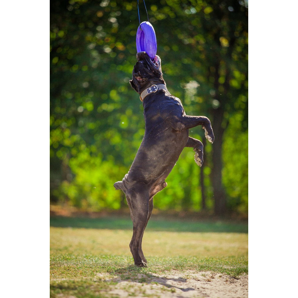 Іграшка для собак Puller Maxi 30 см (6492) - изображение 11