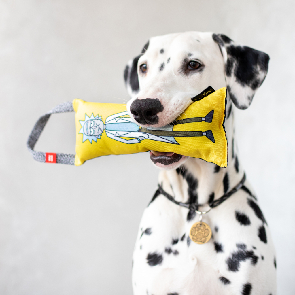 Іграшка для собак WAUDOG Fun "Рік і Морті 2" з пискавкою S (629-0281) - изображение 5