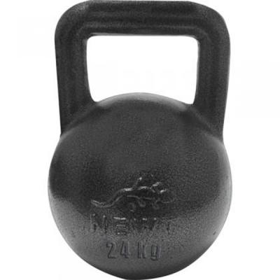 Гиря Newt чавунна 24 кг (NE-100-2400) - зображення 1