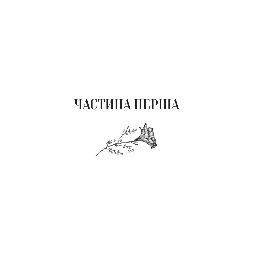 Книга Те, що видно звідси - Маріана Лекі Vivat (9786171703018) - зображення 3