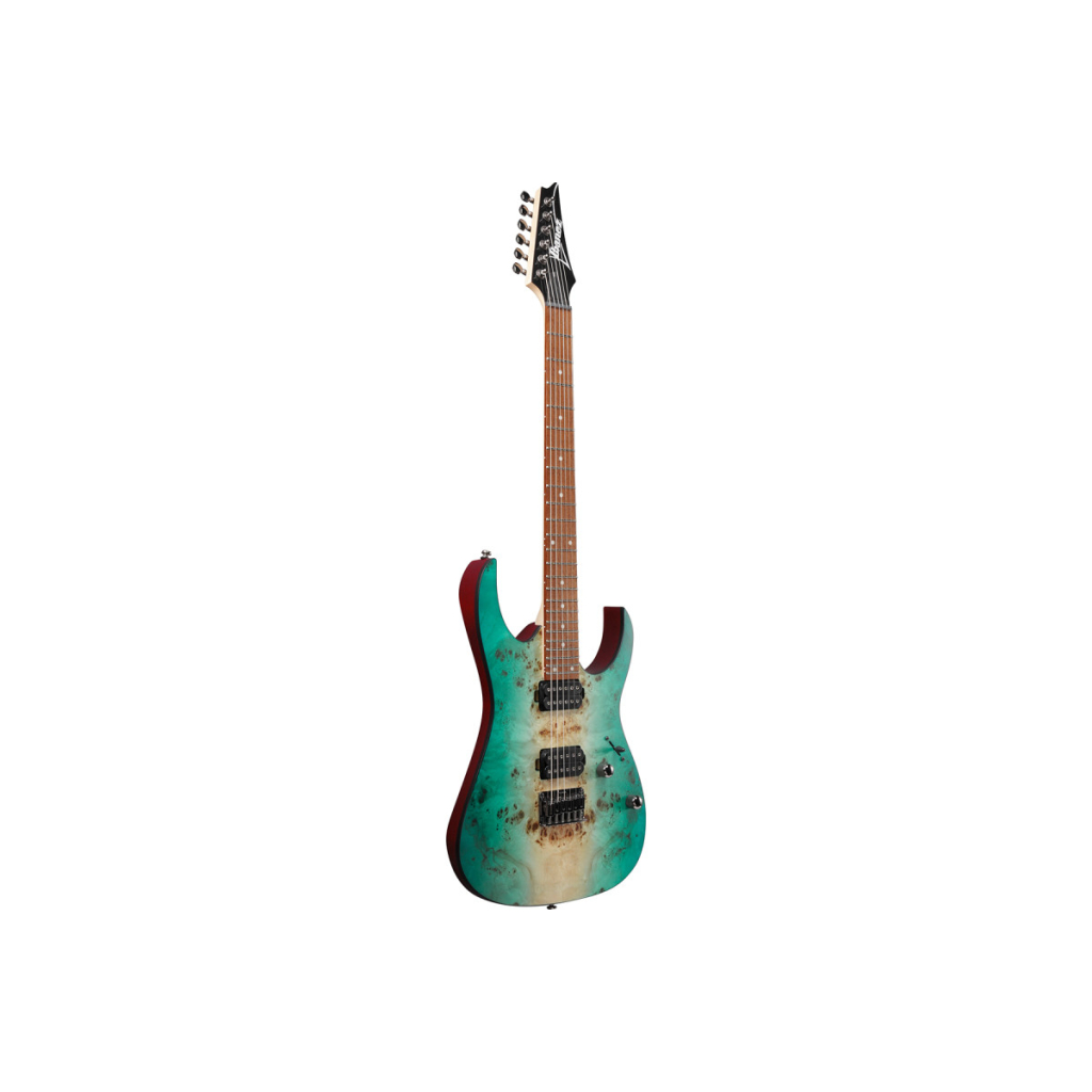 Електрогітара Ibanez RG421PB CHF (230535) - изображение 3