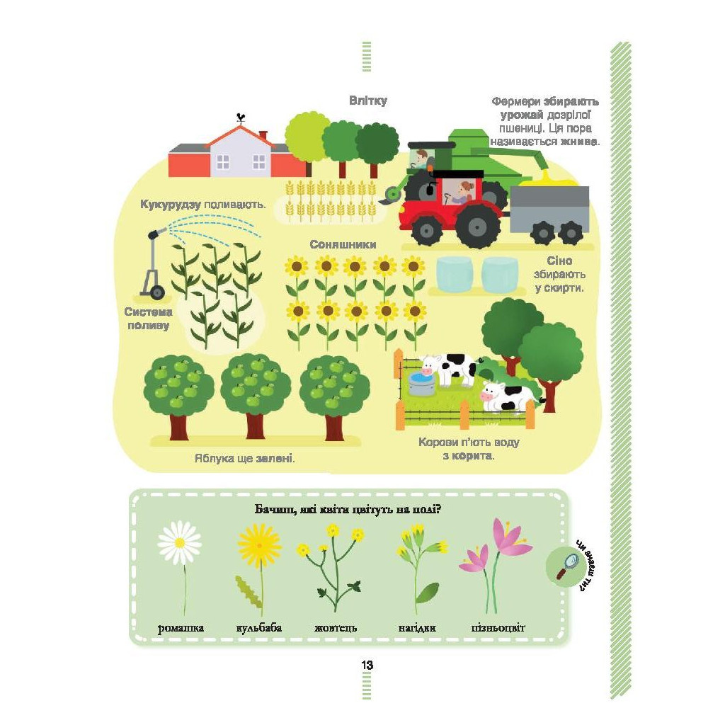 Книга На фермі. Енциклопедія для допитливих - Сесіль Югла #книголав (9786177820382) - зображення 7