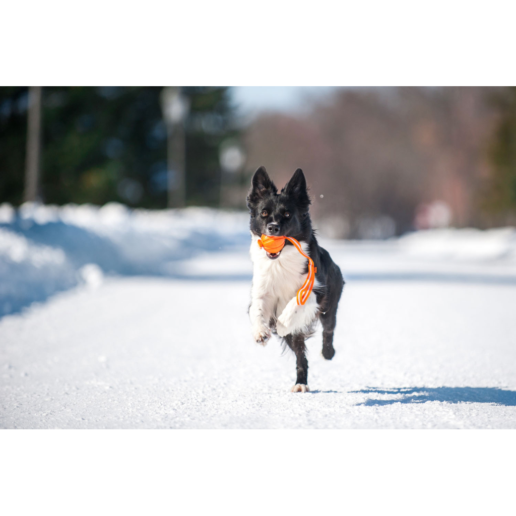 Іграшка для собак Liker Line М'ячик зі стрічкою 9 см (6288) - зображення 3