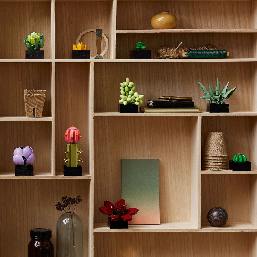 Конструктор LEGO Botanicals Сукуленти (10309-) - зображення 12