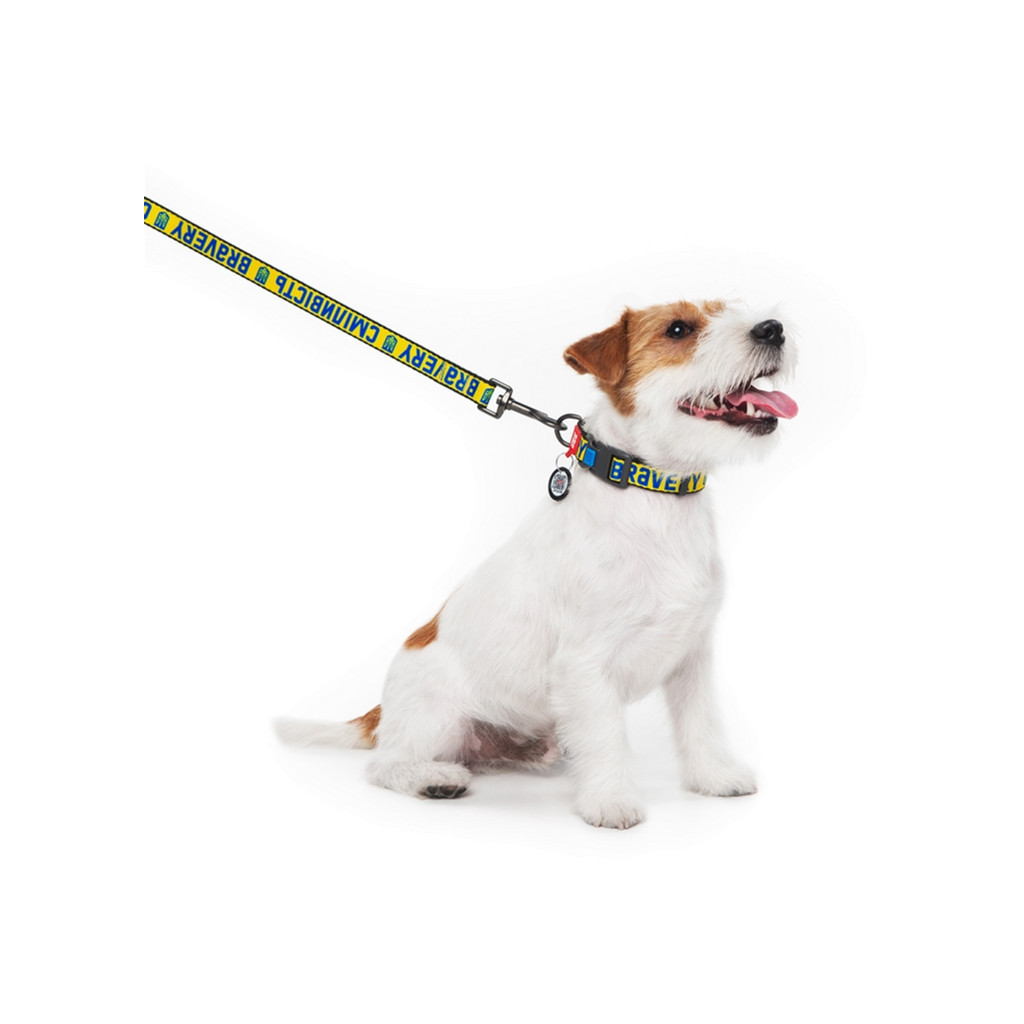 Повідок для собак WAUDOG Nylon "Сміливість" L-XXL Ш 25 мм (4925-0231) - зображення 4