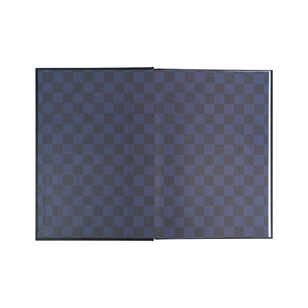 Щоденник шкільний Kite Harry Potter, тверда обкладинка (HP25-262-2) - зображення 3