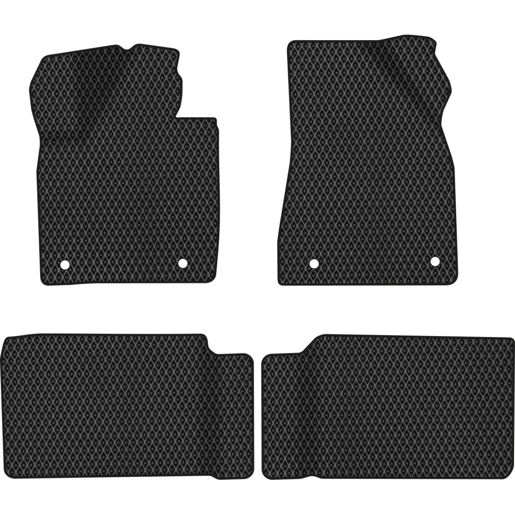 Килимок в салон EVAtech Weltmeister EX5-Z 2018+ SUV China (WR41895PDC4AV4RBB) - зображення 1