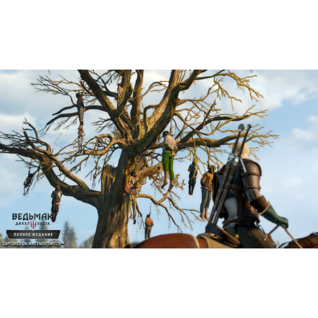 Гра Nintendo Switch The Witcher 3: Wild Hunt (1186876) - зображення 3