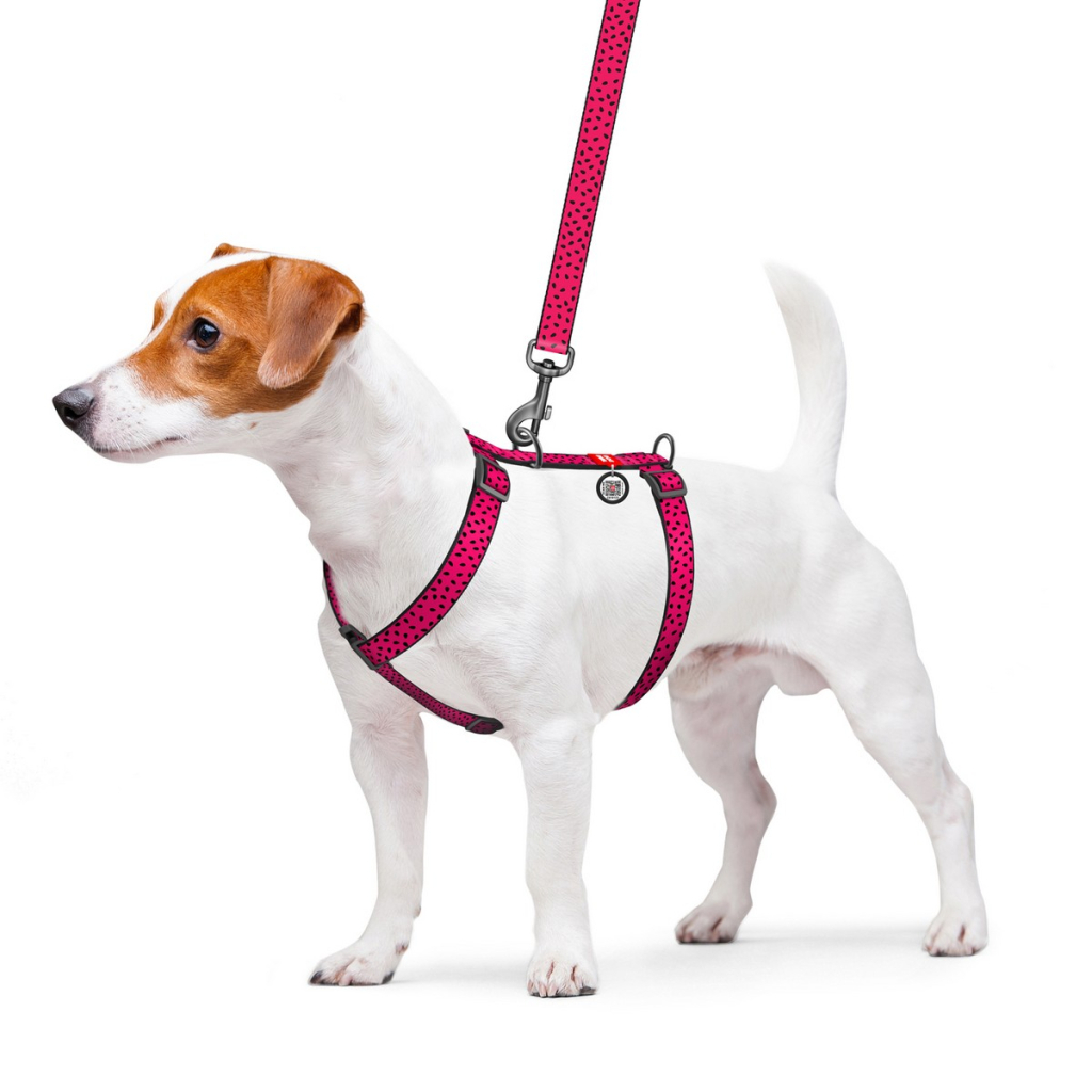 Шлея для собак WAUDOG Nylon з QR паспортом анатомічна H-подібна "Кавун" L (5562) - зображення 3