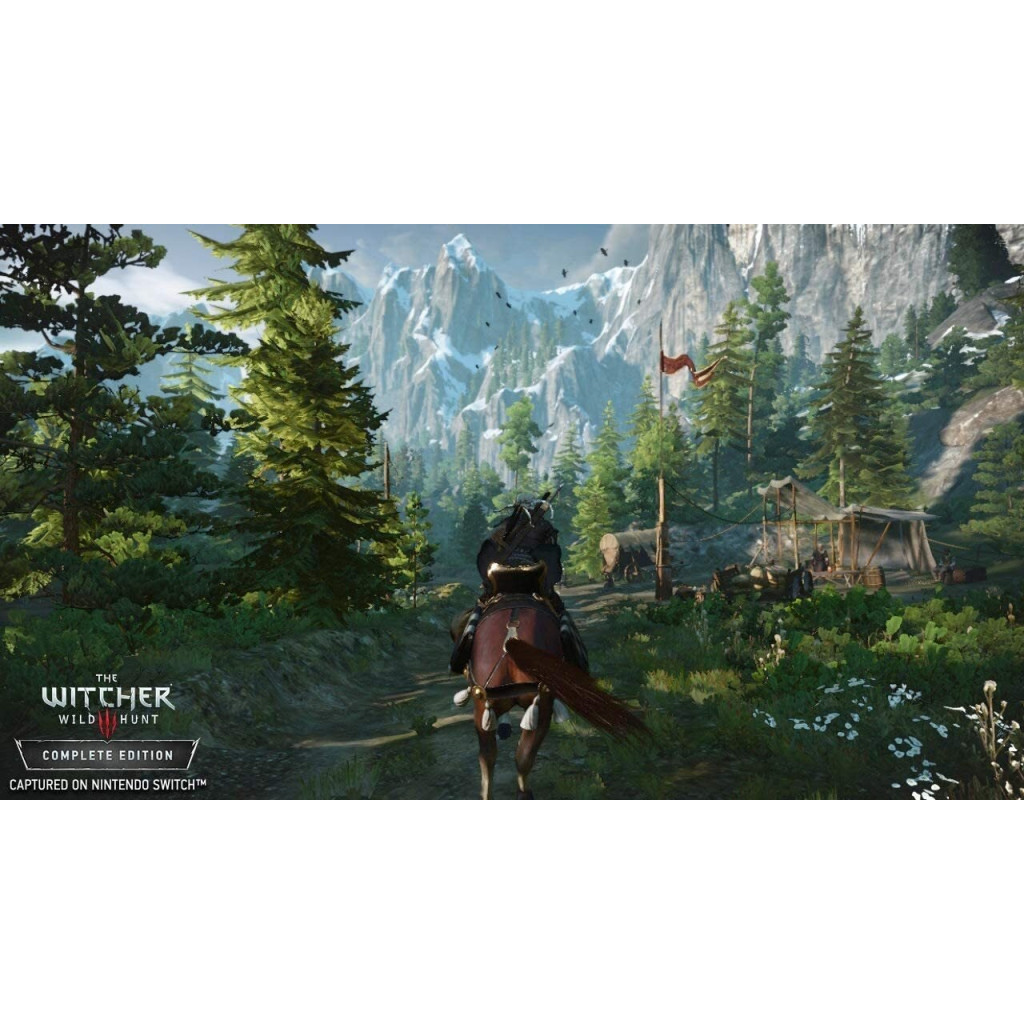 Гра Nintendo Switch The Witcher 3: Wild Hunt (1186876) - зображення 11
