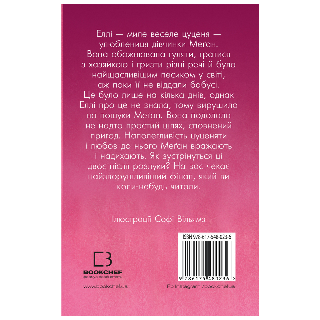 Книга Еллі, або Найвідданіше цуценя - Голлі Вебб BookChef (9786175480236) - зображення 3