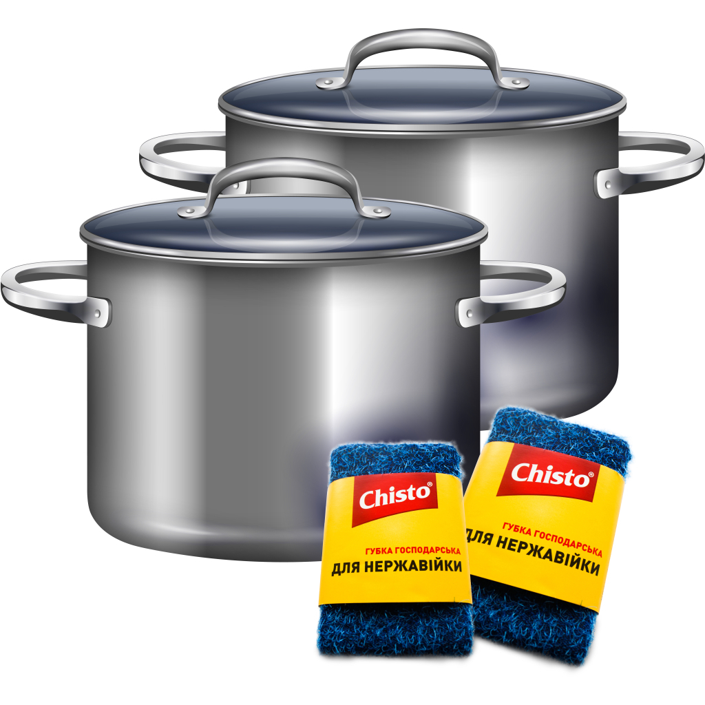 Губки кухонні Chisto для нержавійки 1 шт. (4823098413790) - изображение 2