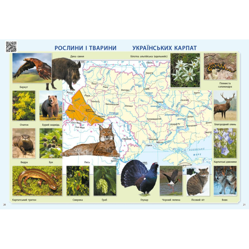 Атлас НУШ Я досліджую світ. 3 клас - О.В. Тагліна Ранок (9786170962454) - зображення 3