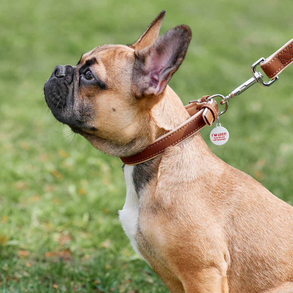 Нашийник для тварин WAUDOG Soft з QR паспортом XS коричневий (7189) - зображення 5