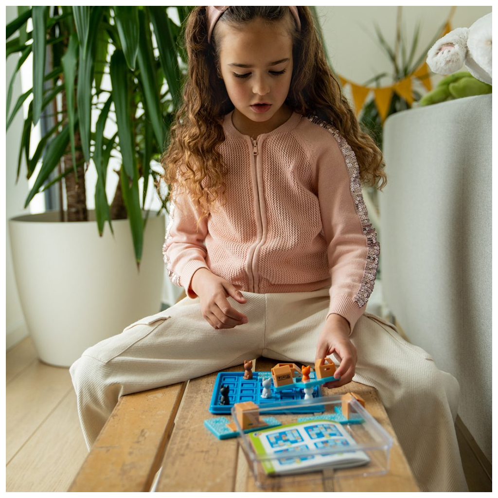 Настільна гра Smart Games Коти в коробках (SG 450 UKR) - зображення 6