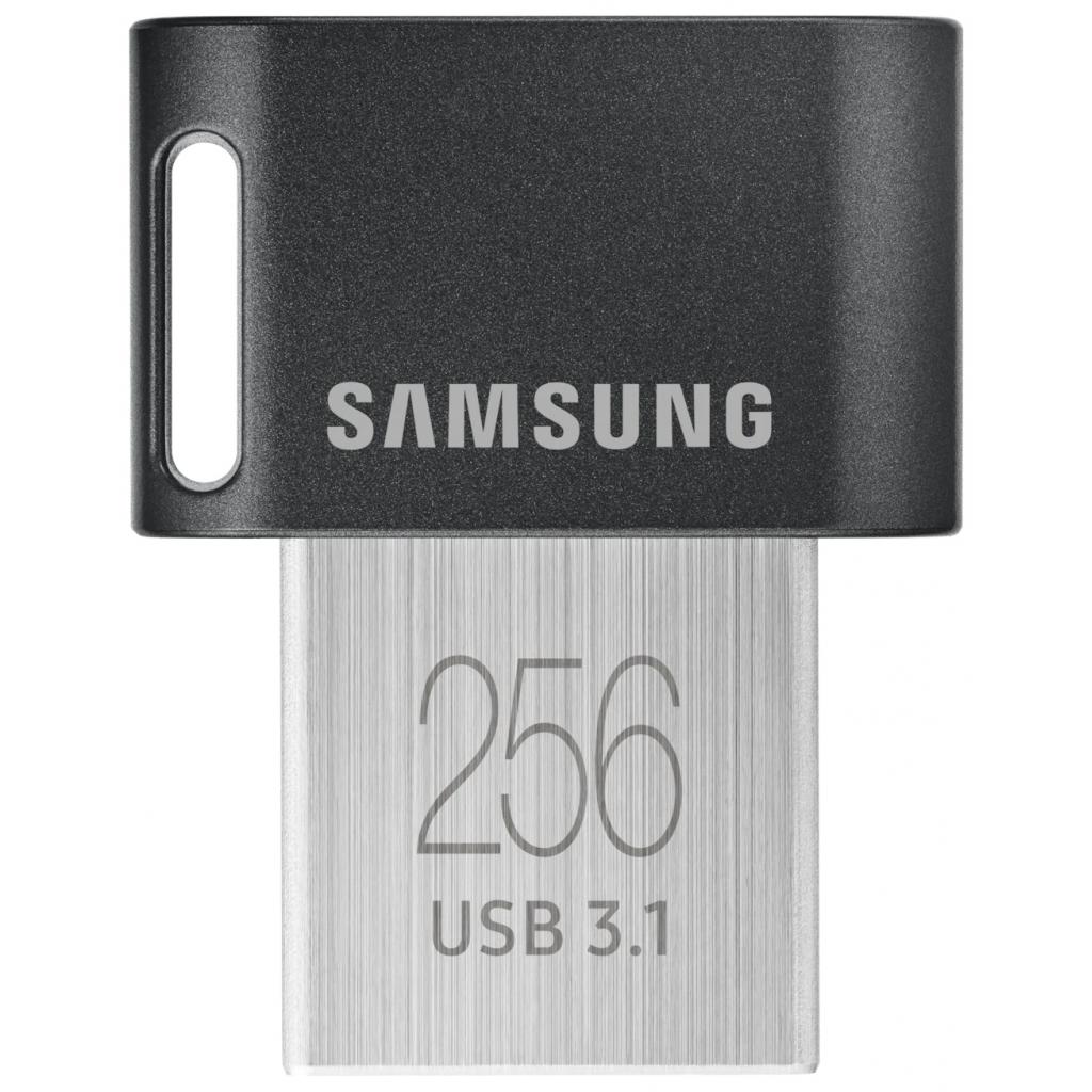 USB флеш накопичувач Samsung 256GB FIT PLUS USB 3.1 (MUF-256AB/APC) - зображення 1