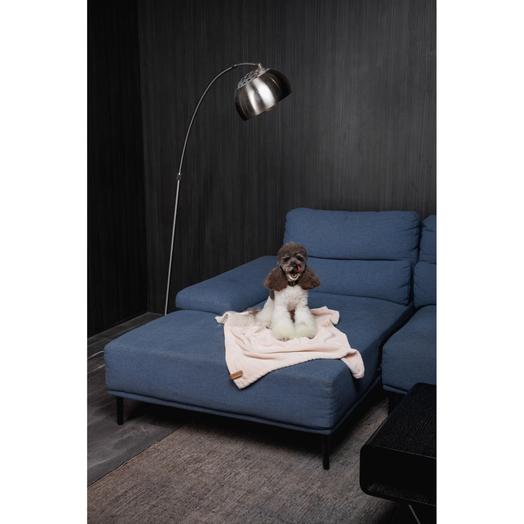 Килимок для тварин Pet Fashion Bliss 1 86х67.5 пудра (4823082441396) - зображення 5