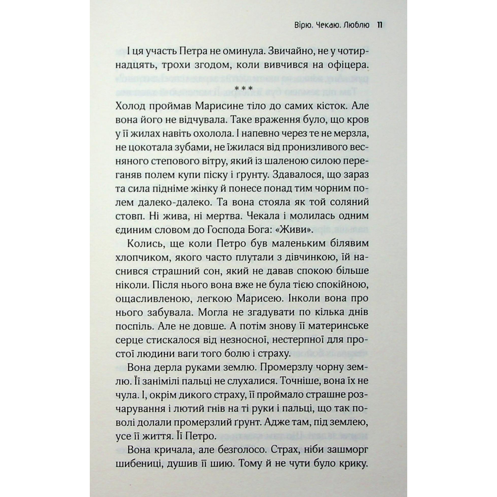 Книга Львів. Ночі. Світанки - Ніка Нікалео та ін. КСД (9786171516243) - picture 10