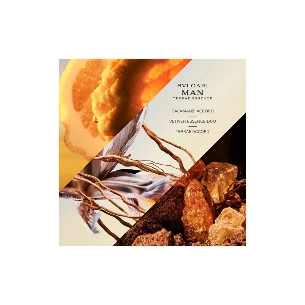 Парфумована вода Bvlgari Man Terrae Essence 60 мл (783320416118) - зображення 3