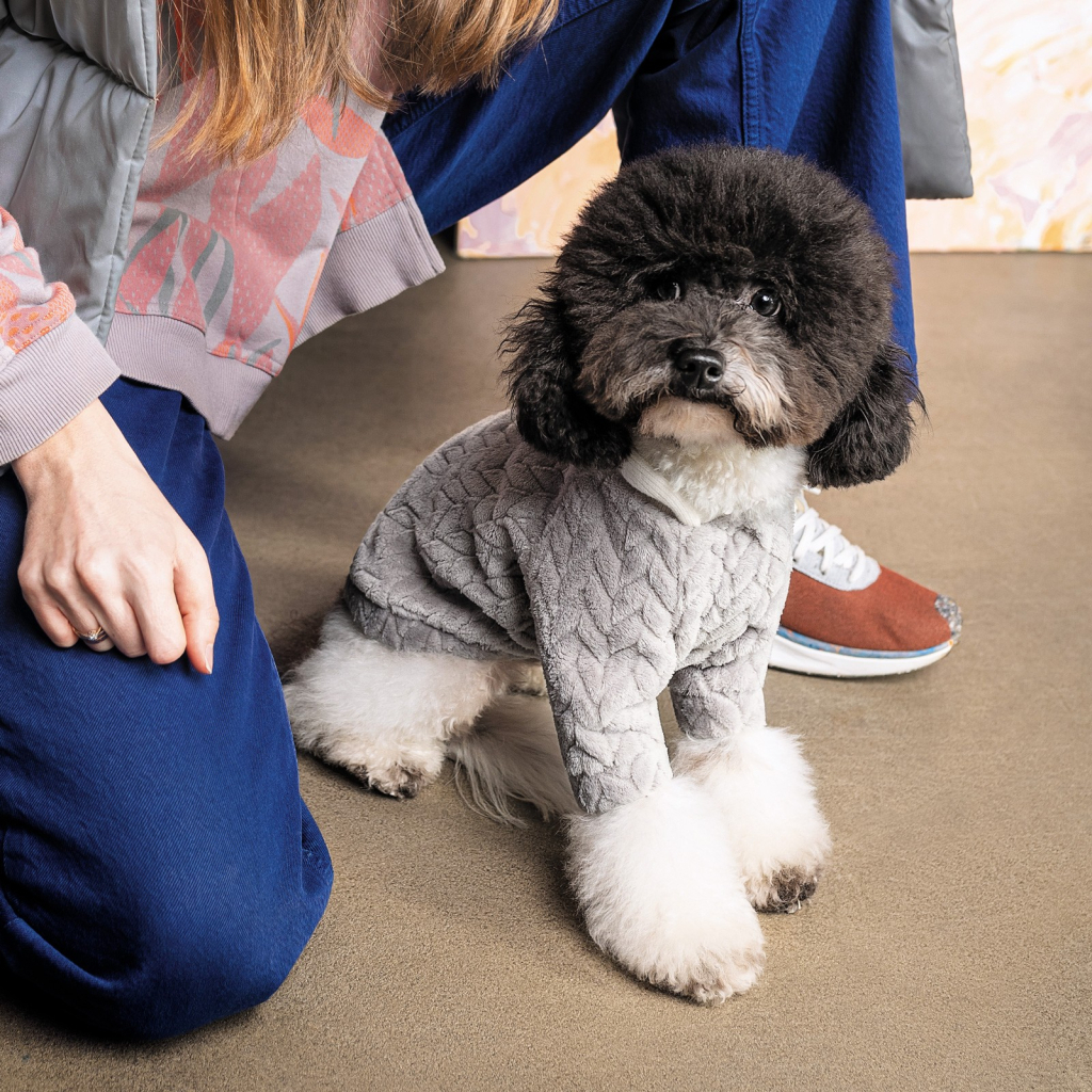 Толстовка для тварин Pet Fashion DELICATE XS (сіра) (4823082429813) - зображення 3
