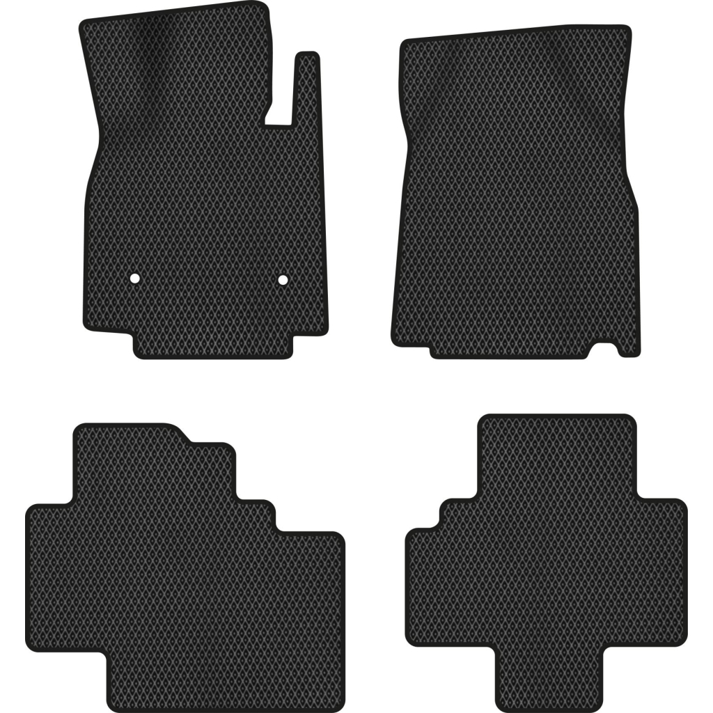 Килимок в салон EVAtech BYD Tang (EV) 2018+ 2 покоління SUV EU (BD41789PD4AV2RBB) - зображення 1