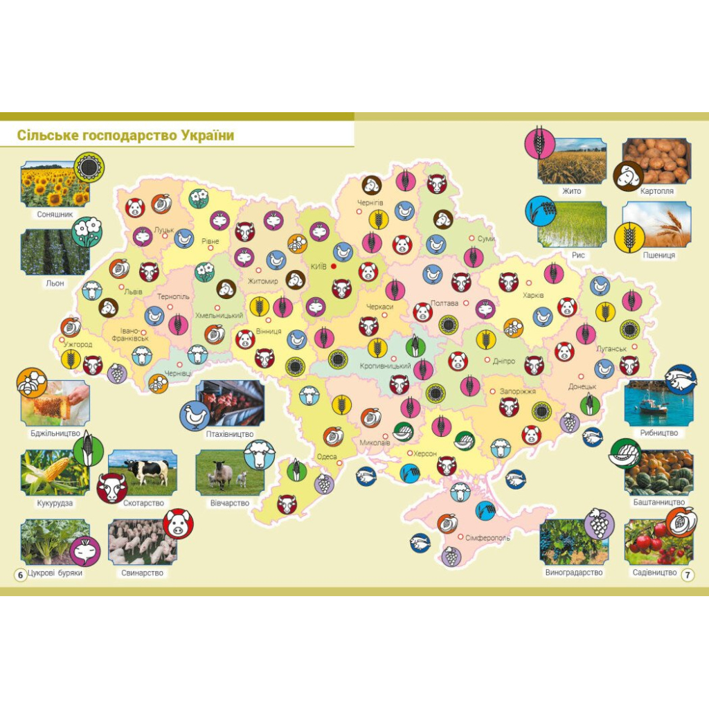 Атлас НУШ Я досліджую світ. 4 клас Ранок (9786170970008) - изображение 4