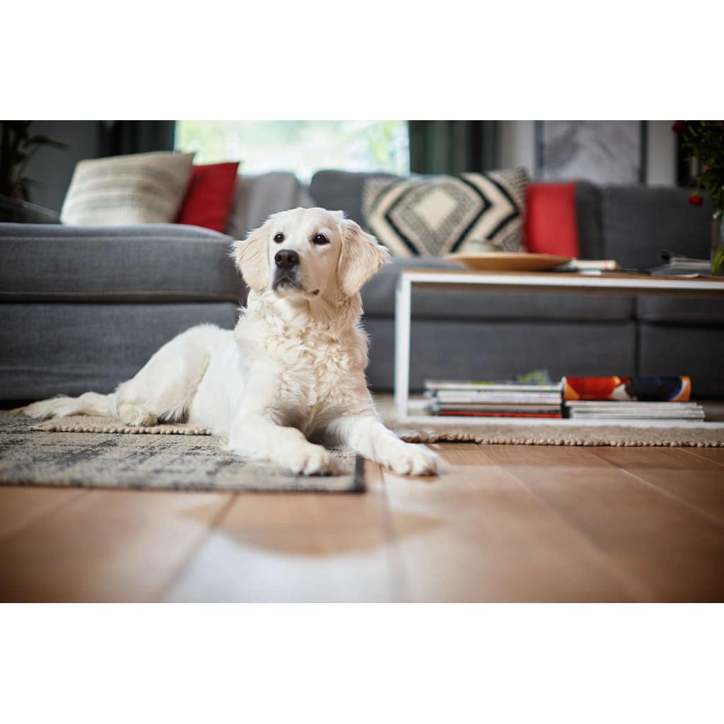 Пилосос Philips FC8822/01 - зображення 7