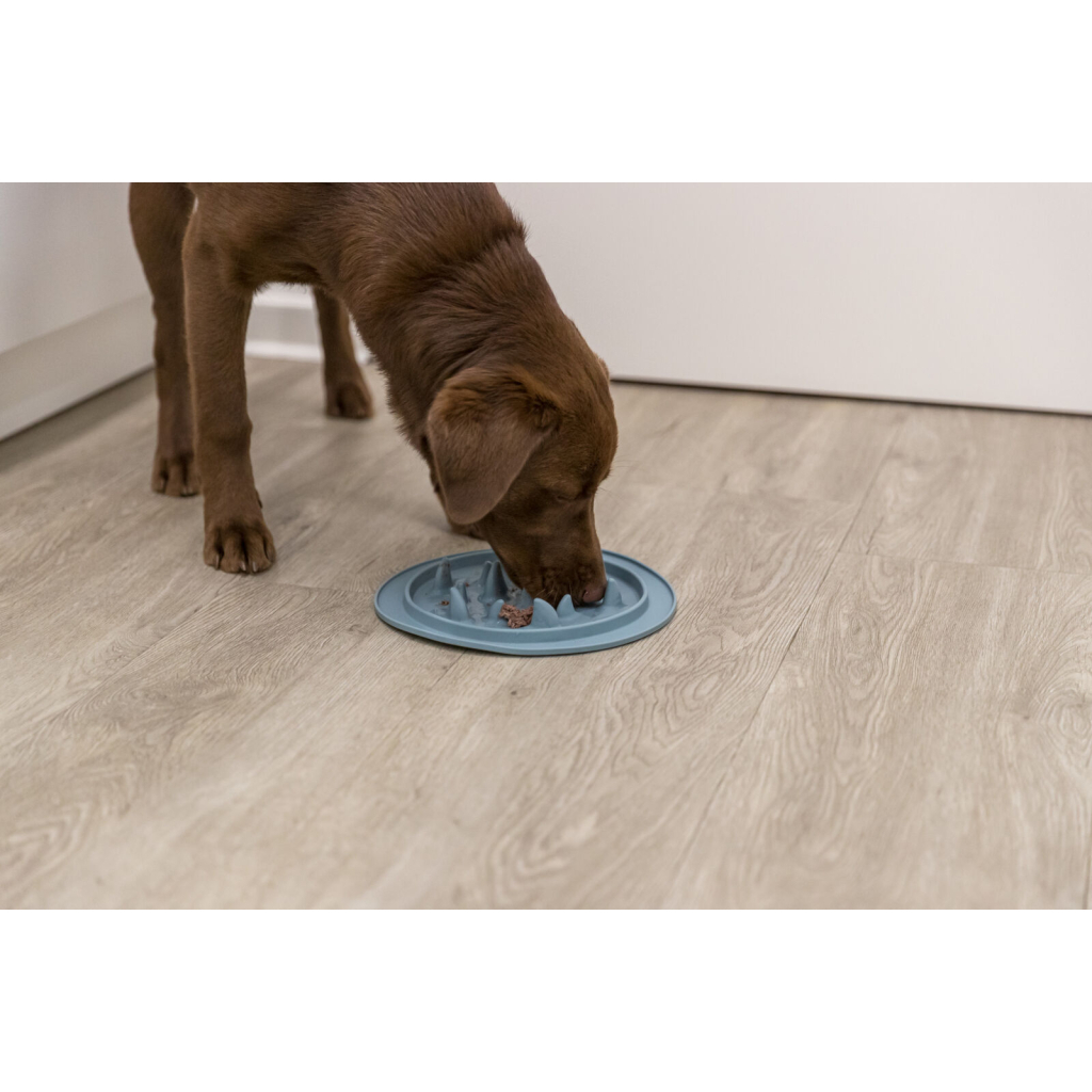 Посуд для собак Trixie Миска-килимок для повільного годування 24 см (4011905250366) - изображение 7