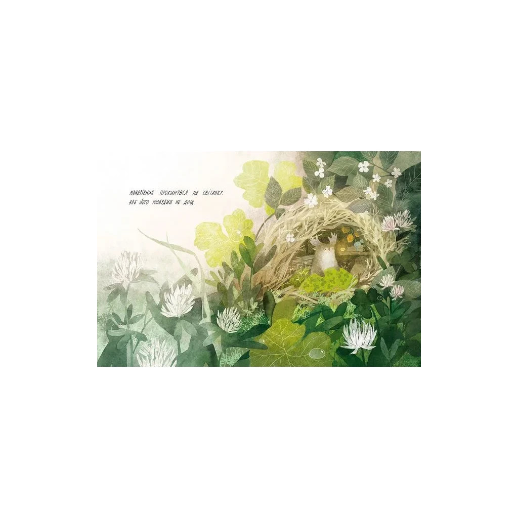 Книга Туконі - мешканець лісу - Оксана Була Видавництво Старого Лева (9786176794929) - зображення 4