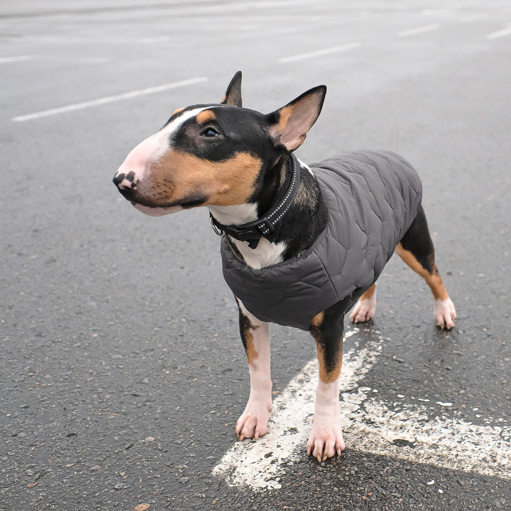 Жилет для тварин Pet Fashion "E.Vest" XL сірий (4823082424429) - зображення 4