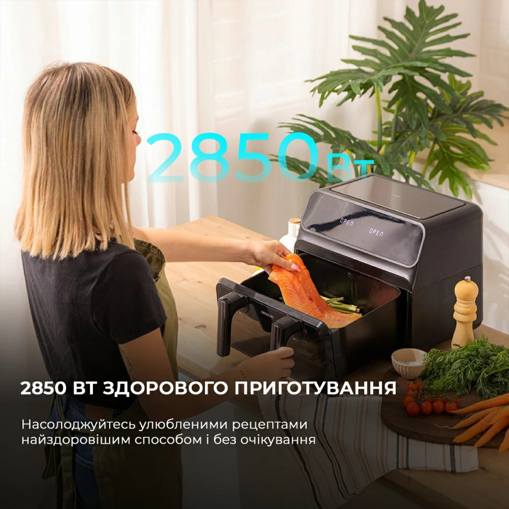 Мультипіч Cecotec Cecofry Advance 9000 Window (CCTC-04986) - зображення 7