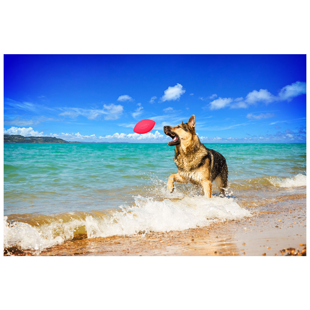 Іграшка для собак Collar PitchDog м'яч для апорту d:9 см рожевий (62417) - зображення 2