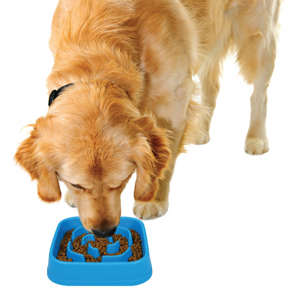 Посуд для собак Dexas Силіконова квадратна миска Slow Maze Feeder для повільного годування 1.44 л блакитна (0084297309749) - зображення 5