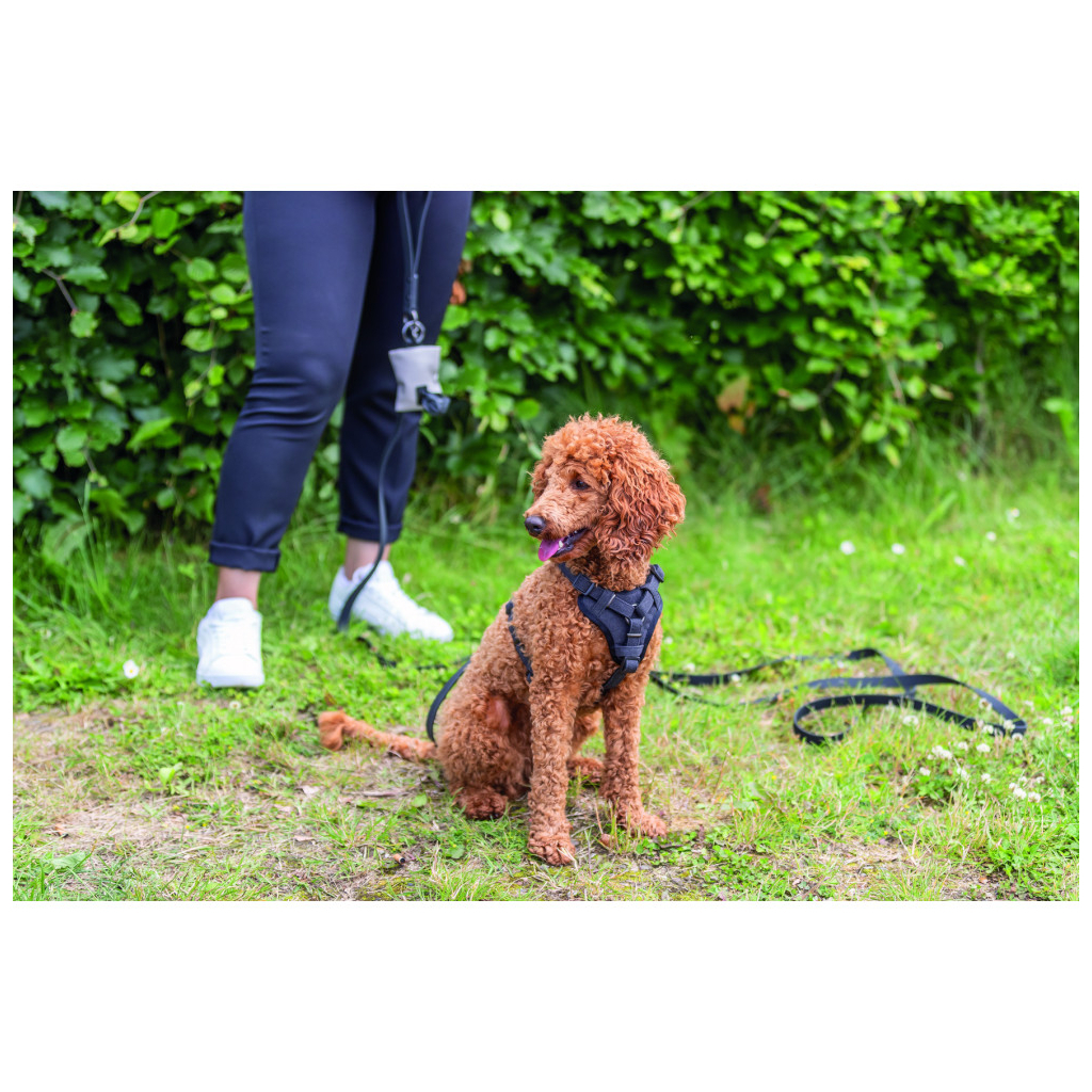 Шлея для собак Trixie CityStyle H-harness Бавовна L–XL 75–120 см 25 мм Чорна (4053032682665) - зображення 4