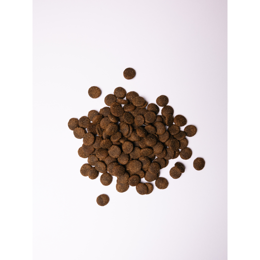 Сухий корм для собак Savory Large Breeds rich in Fresh Turkey and Lamb 12 кг (4820232630242) - зображення 4