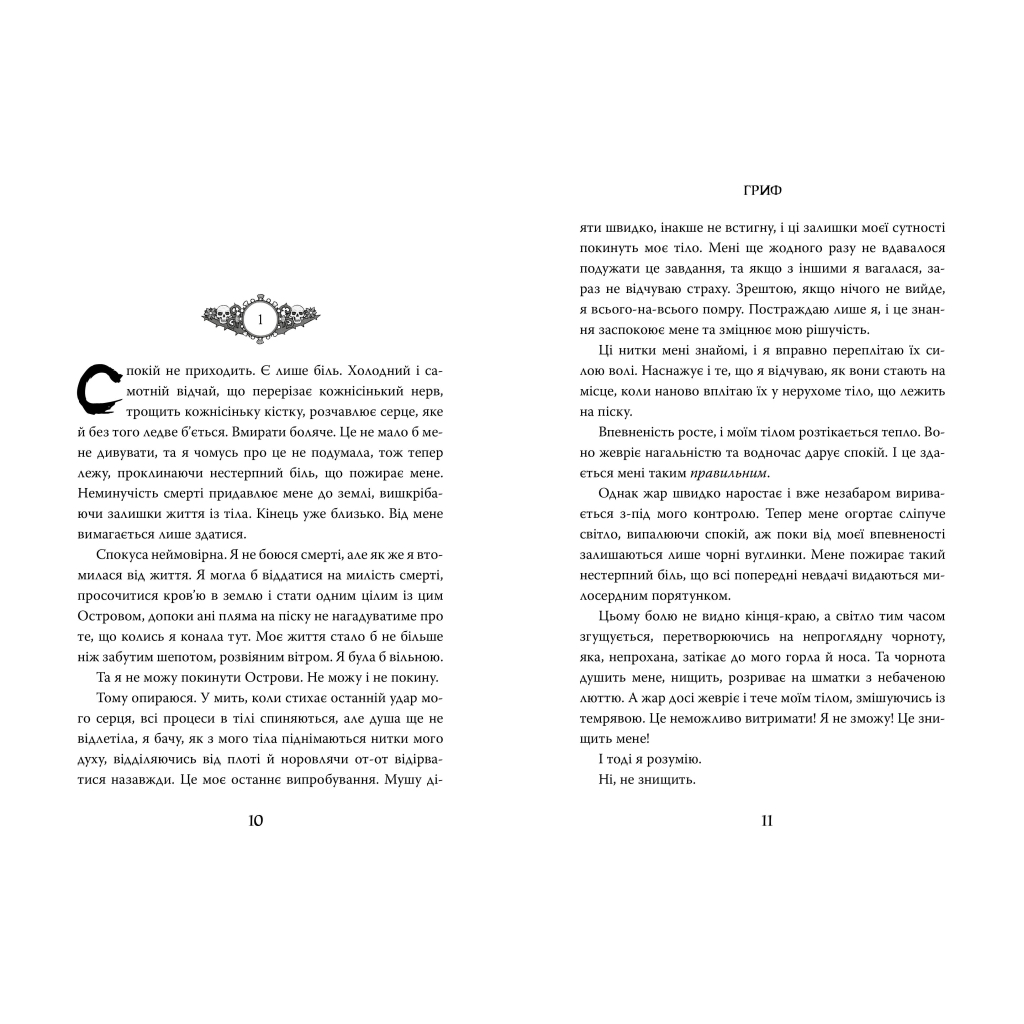 Книга Острови шторму та смутку. Книга 3: Гриф - Бекс Хоґан Видавництво РМ (9789669177643) - зображення 2